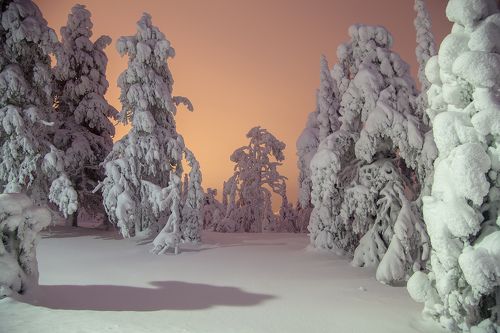 Безмолвие