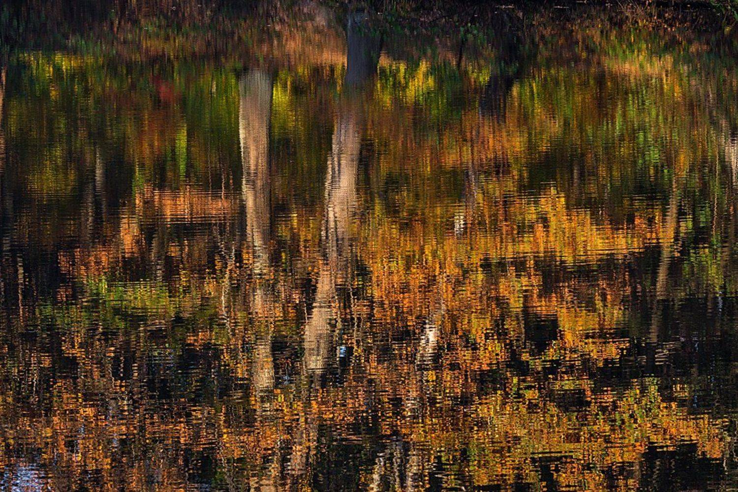 , Геннадий Новов