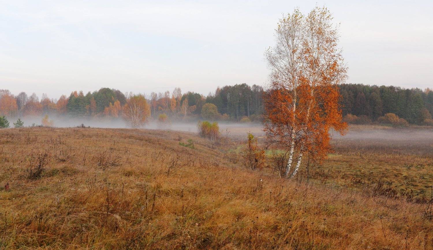 , Александр Курносов