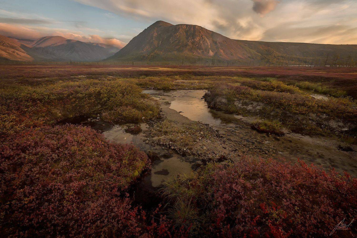 , Юрий Головченко