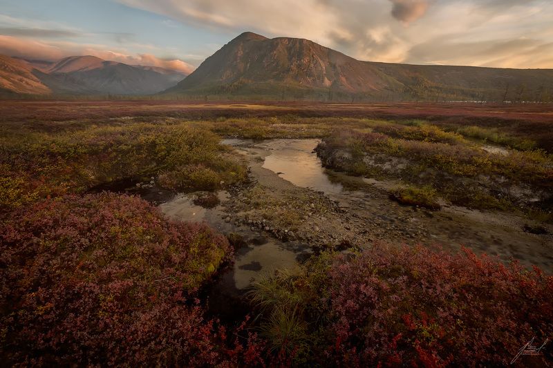 Утренние часы фото превью