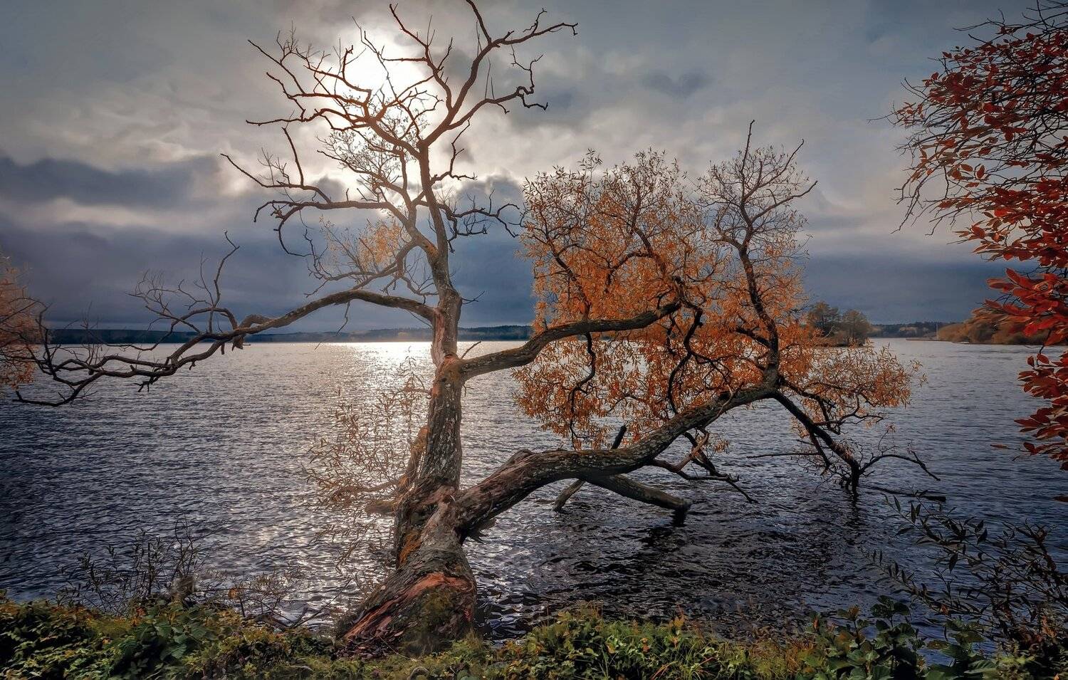 пейзаж,осень,озеро,просвет,облака, Тамара