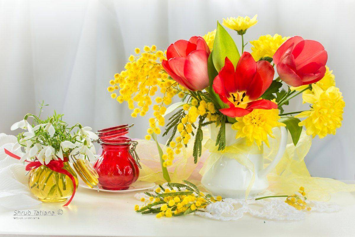 природа, весна, первоцветы, подснежники, мимоза, тюльпаны, Шруб (Беляева) Татьяна