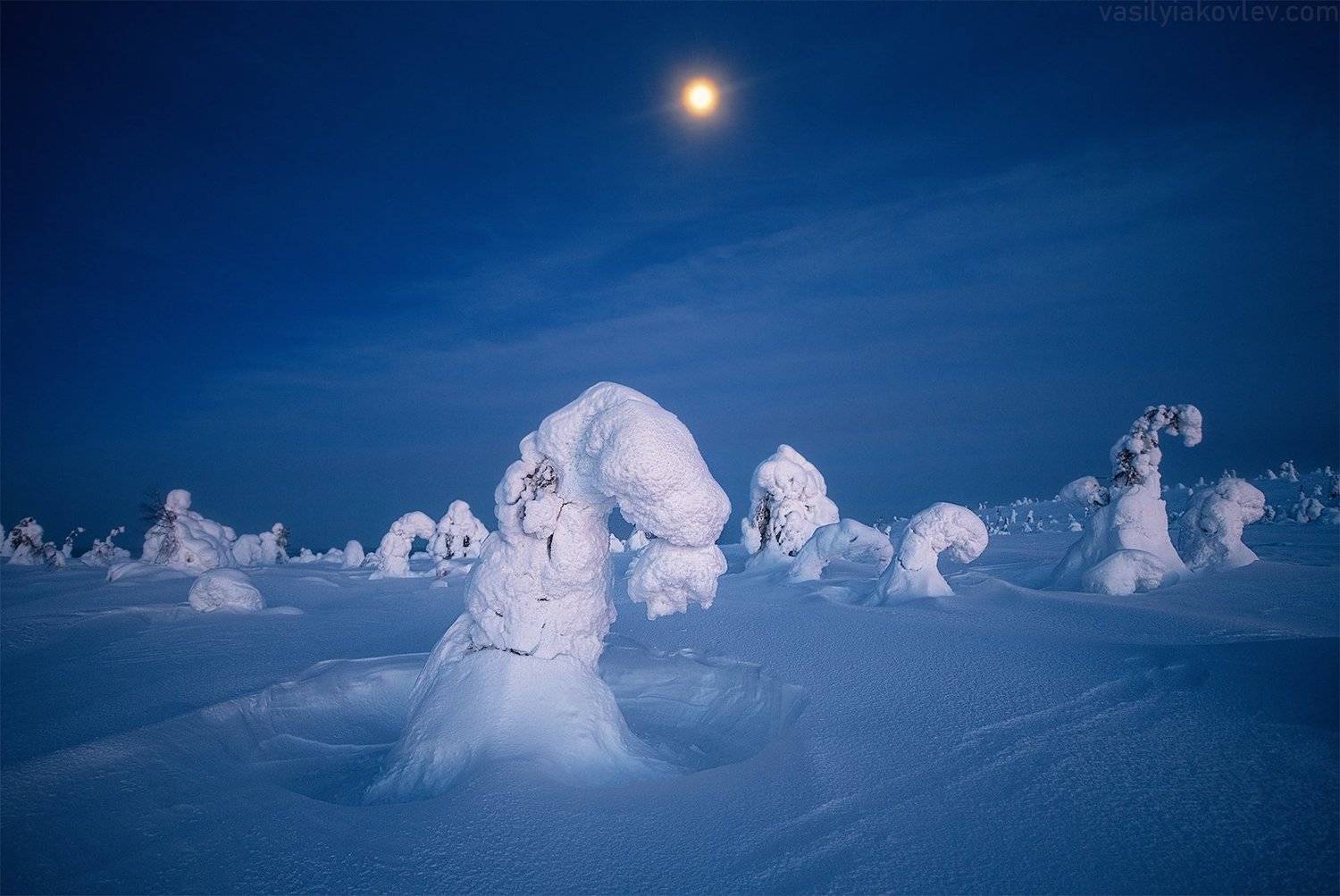 финляндия, лапландия, зима, ночь, Василий Яковлев