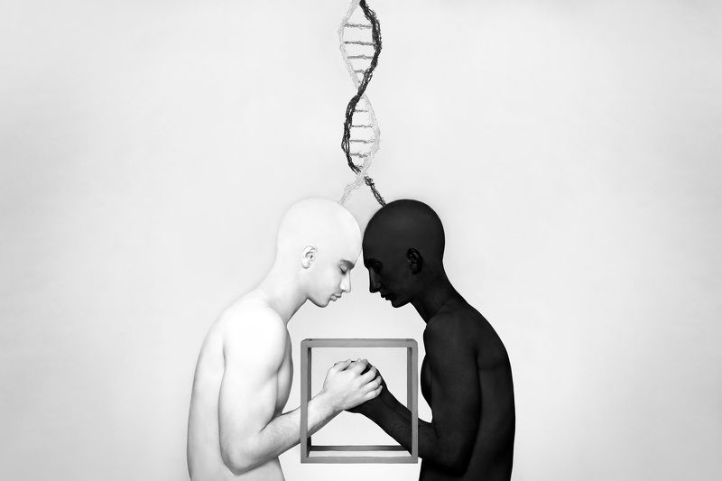 Evolution фото превью