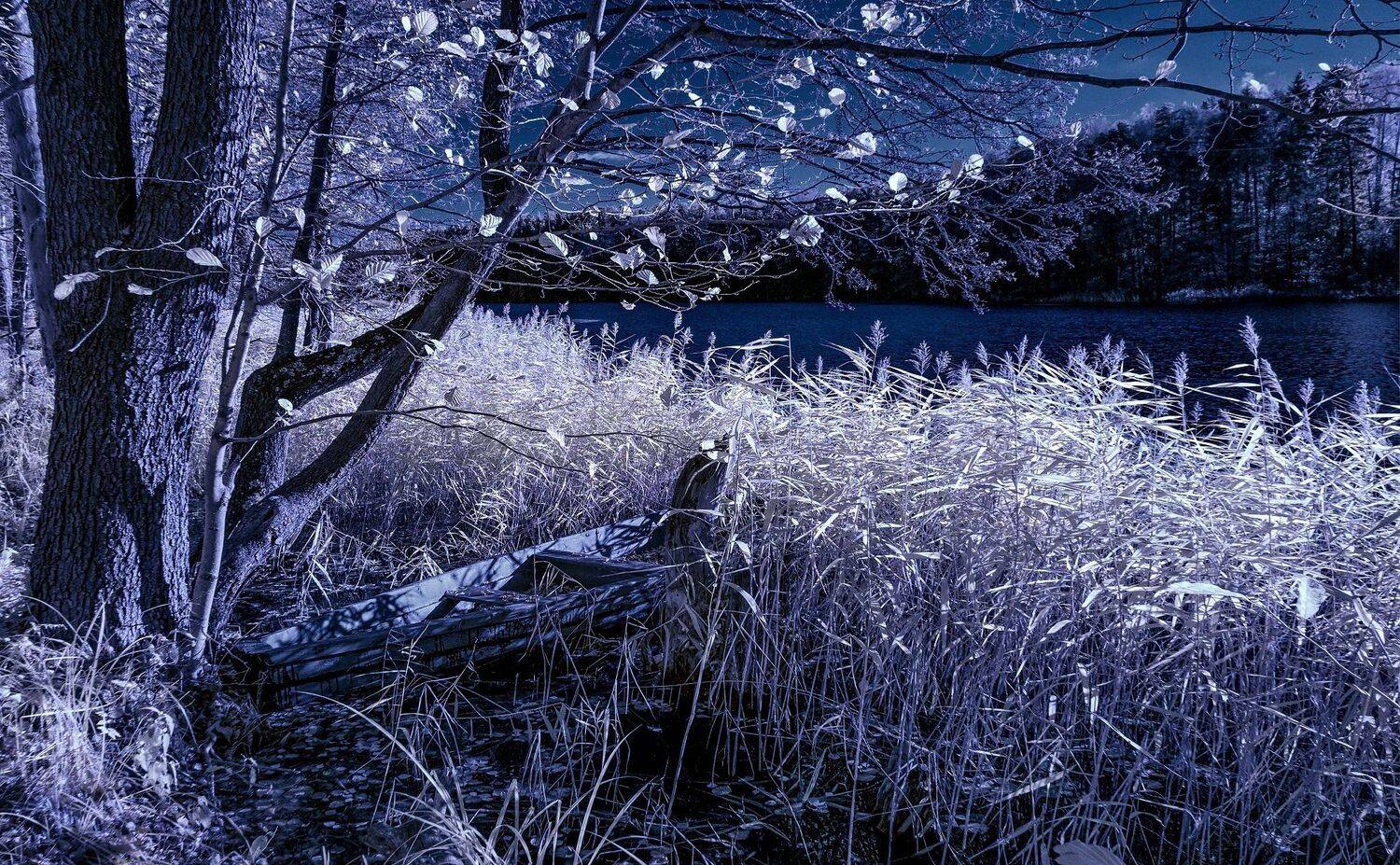 infrared,ик-фото,инфракрасное фото, инфракрасная фотография, пейзаж, осень, беларусь, Sixten ( Сергей )