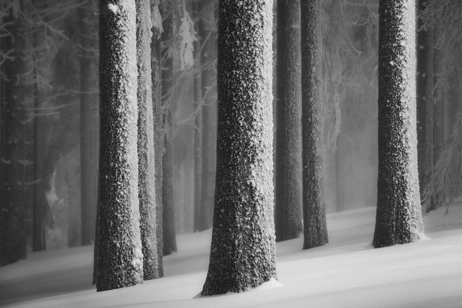 , Szabo Zsolt Andras