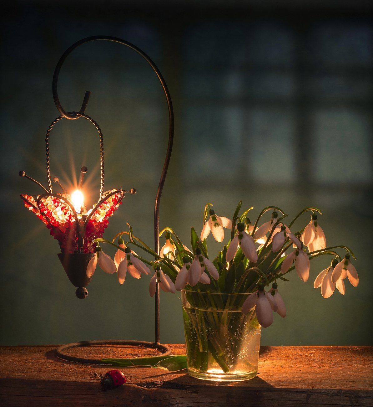 пожснежники,свеча,ночь,натюрморт, Елена Брежицкая