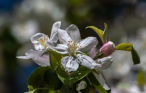 С праздником 8 марта!