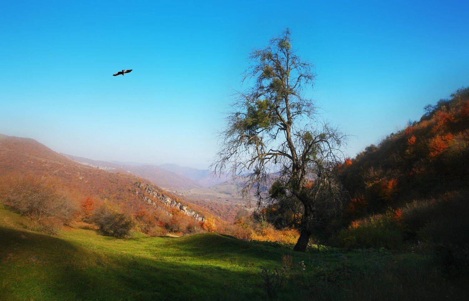 горы,осень,природа,дагестан., Marat Magov