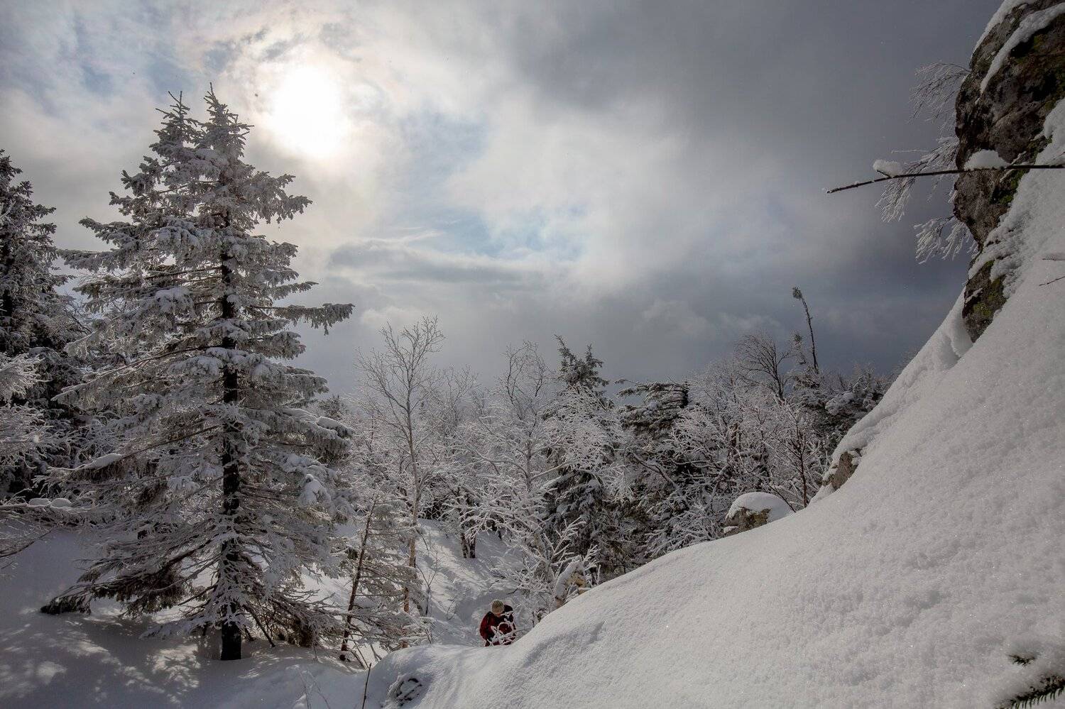 , Сергей Евдокимов
