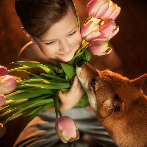 Любимый сыночек