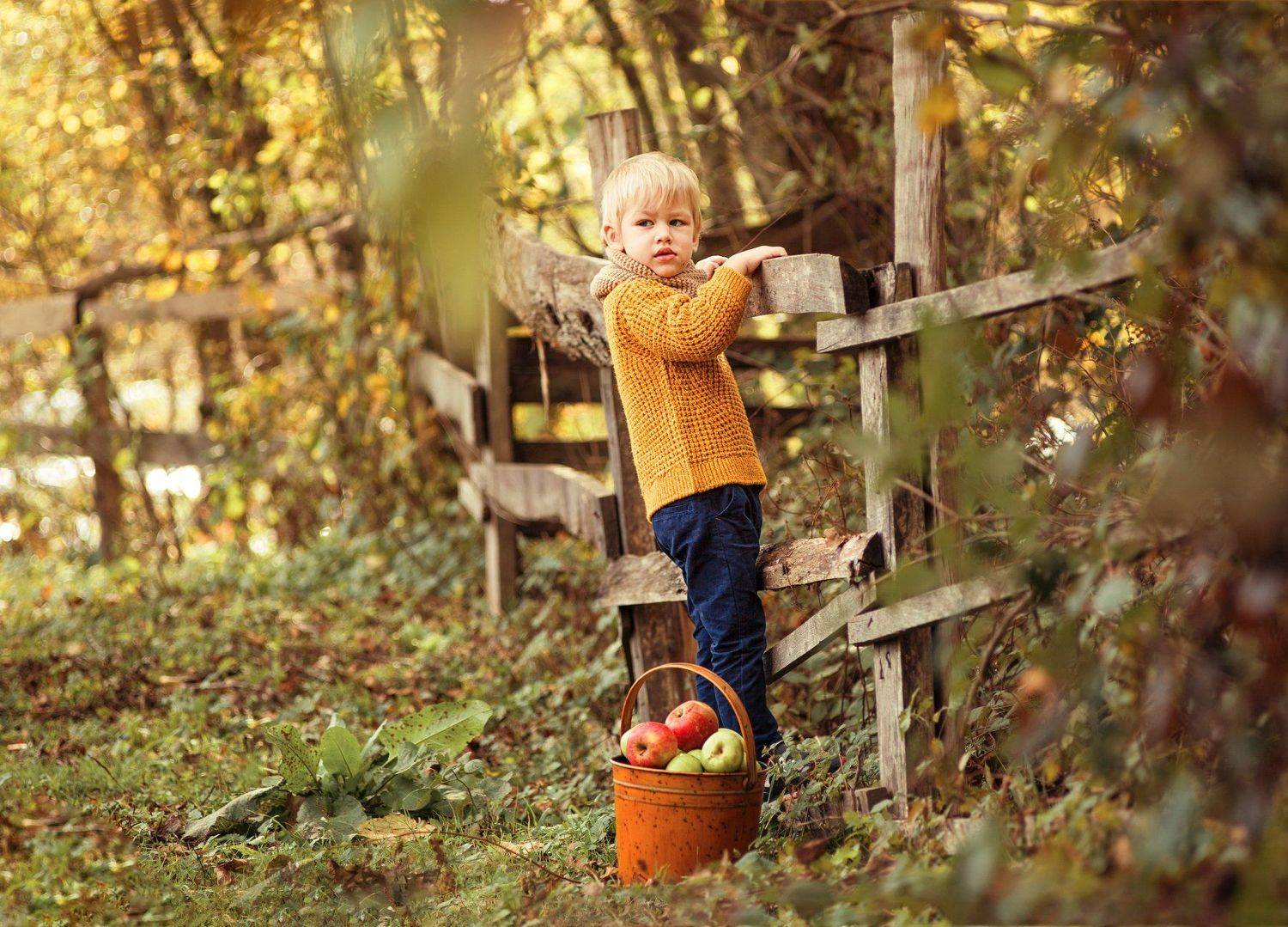 мальчик, осень, отдых, природа, золотая осень, Светлана Червинская