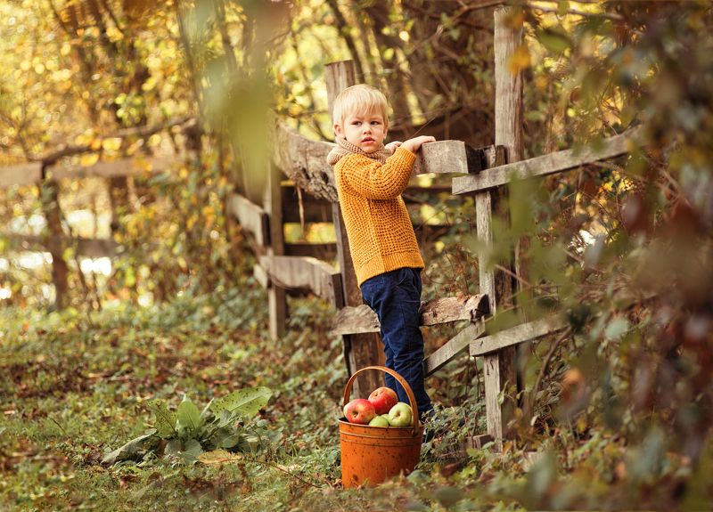 мальчик, осень, отдых, природа, золотая осень  фото превью