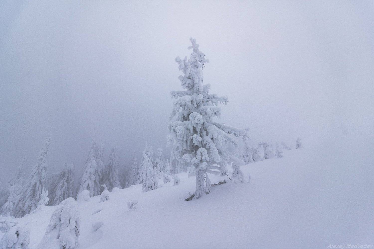 горы, гори, закарпаття, зима, карпати, свидовець, лопухів, лопухов, свидовец, карпаты, закарпатье,, Алексей Медведев