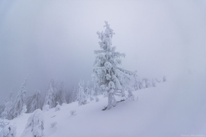 горы, гори, закарпаття, зима, карпати, свидовець, лопухів, лопухов, свидовец, карпаты, закарпатье, Одежды по сезону фото превью