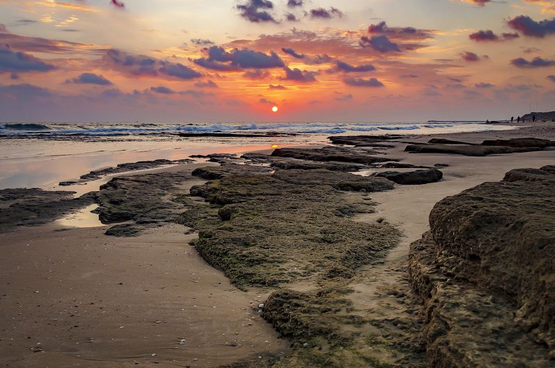 G A Z A  C I T Y фото превью