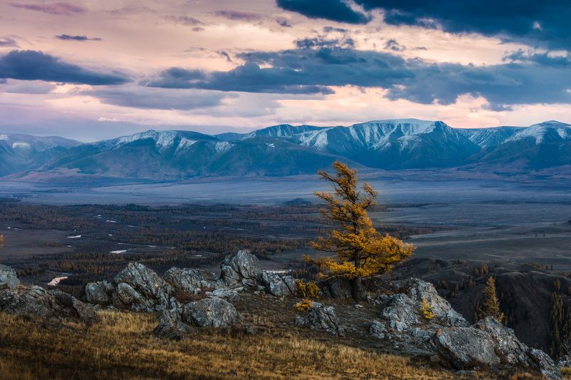 осень, алтай, чуя, степь, горы Назло всем ветрам фото превью