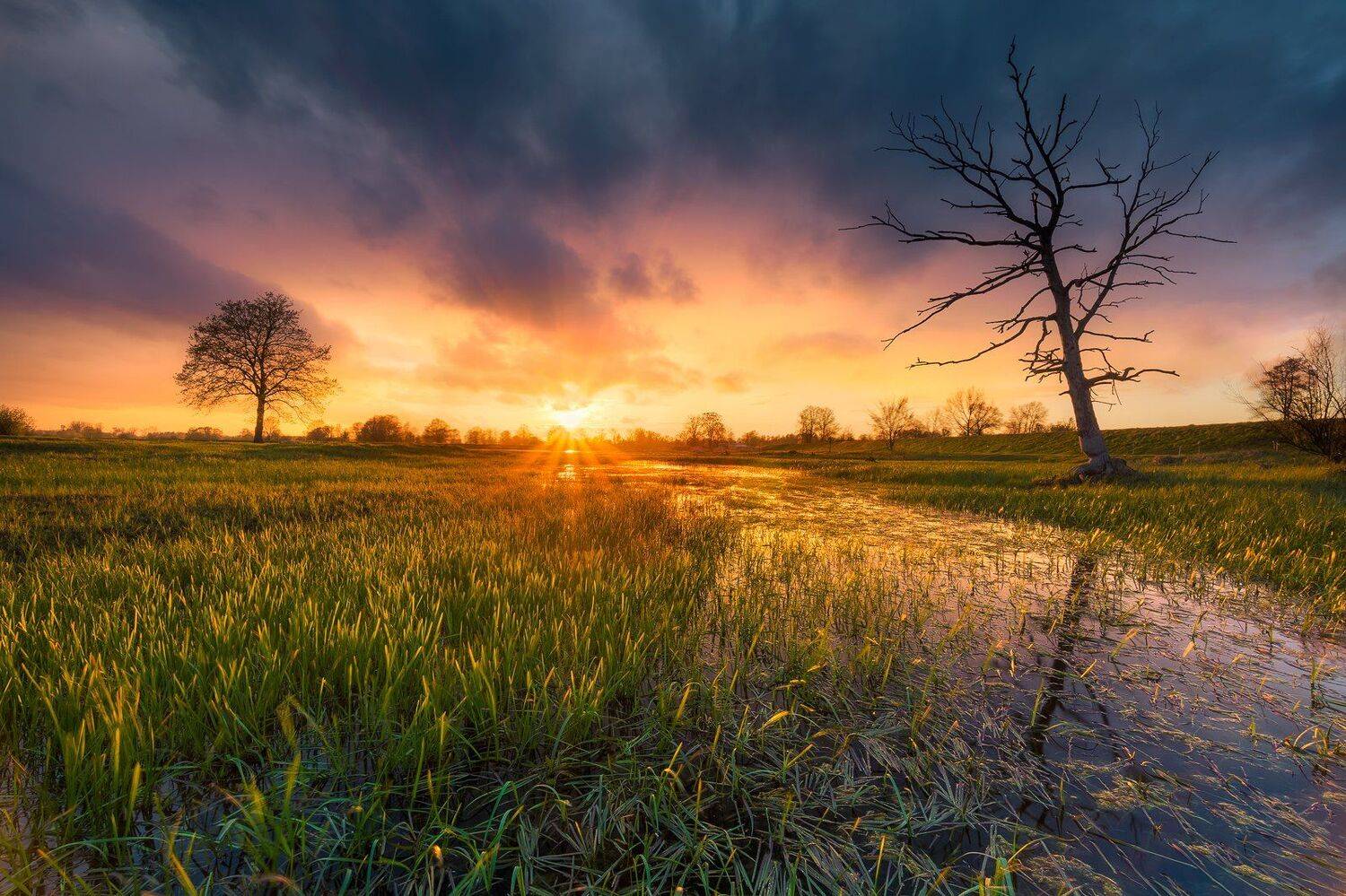 , Bartłomiej Kończak