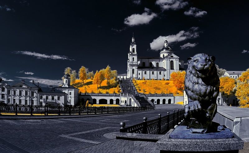 Немного о львах. Инфракрасная фотография. фото превью