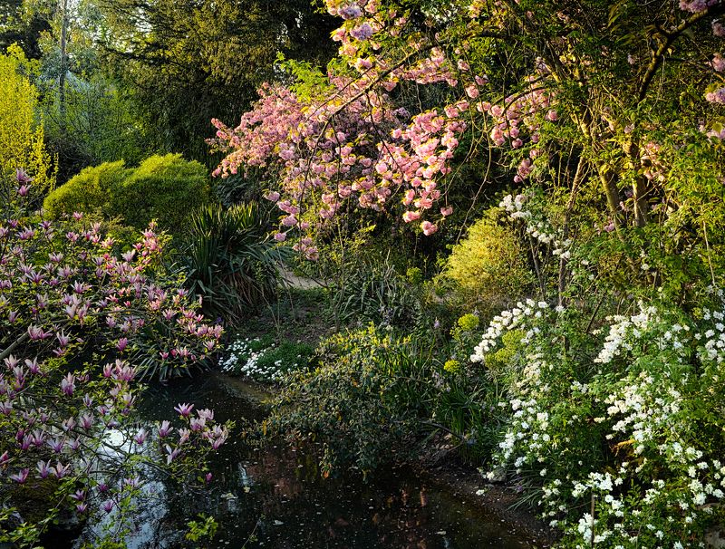 secret garden фото превью