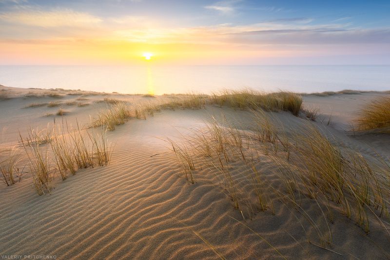 Утро на Куршской косе. фото превью