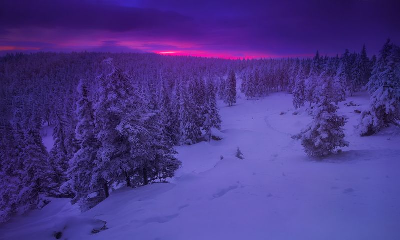 В предрассветных сумерках фото превью