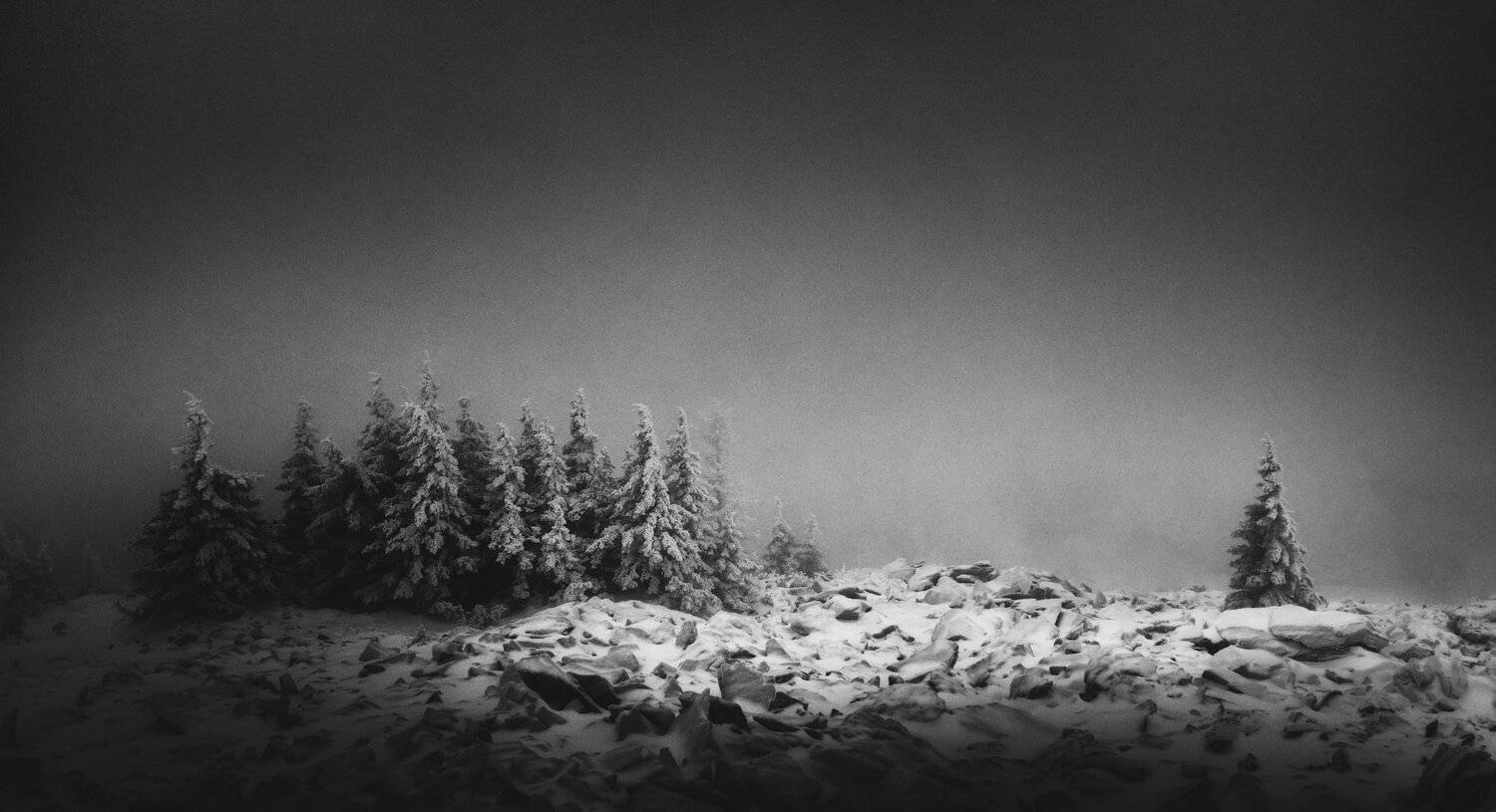 , Yevgeny Anatolyevich