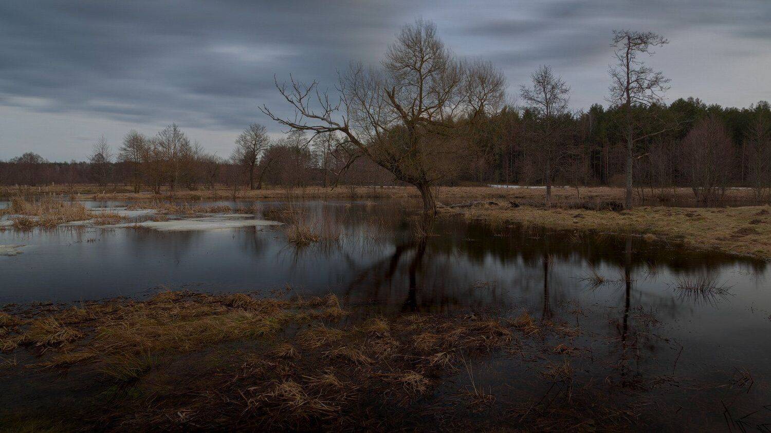 , Михаил Кушнер