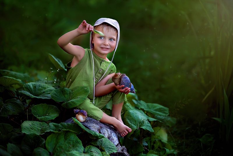 Улитки фото превью