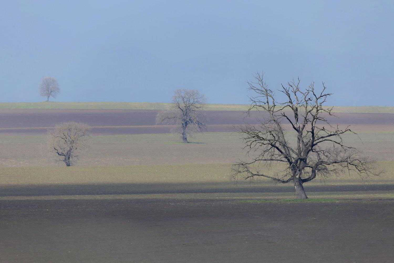 , Aleksandr Karyagin