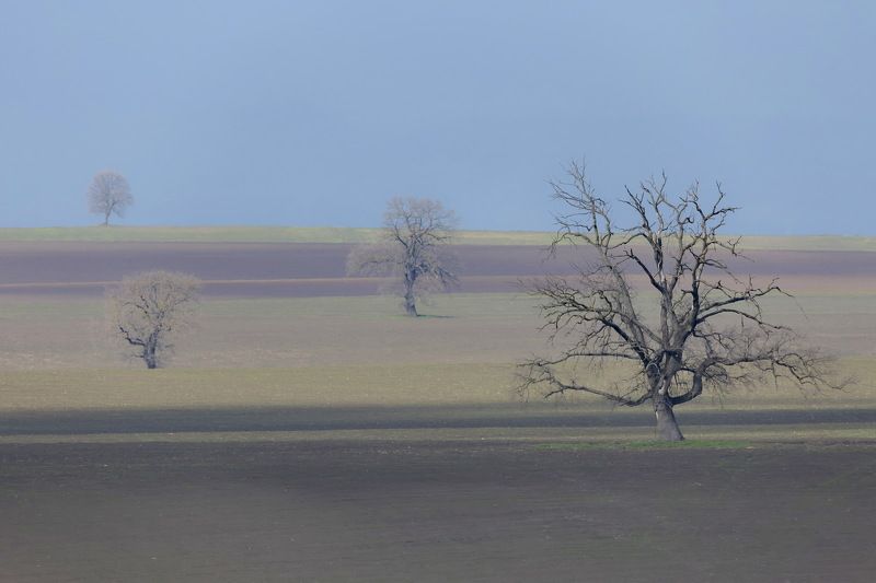 Исмаиллинский район Азербайджан фото превью