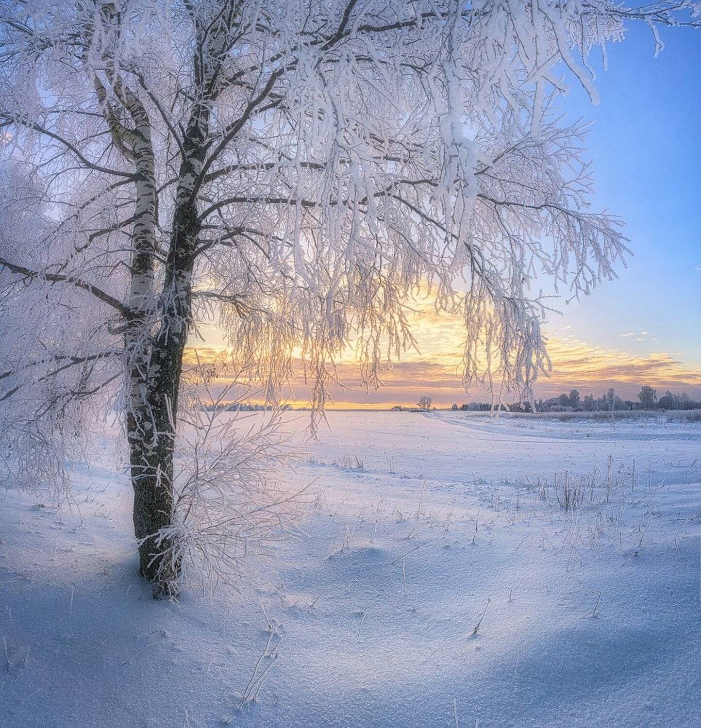 , Устюжанин Михаил