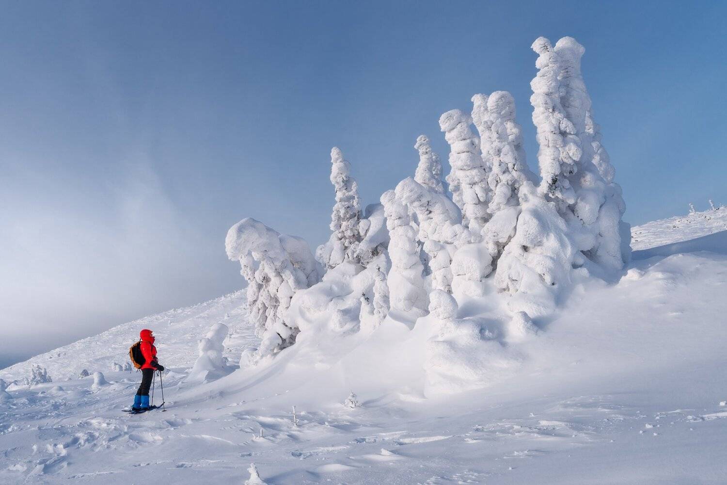 , Михаил Туркеев