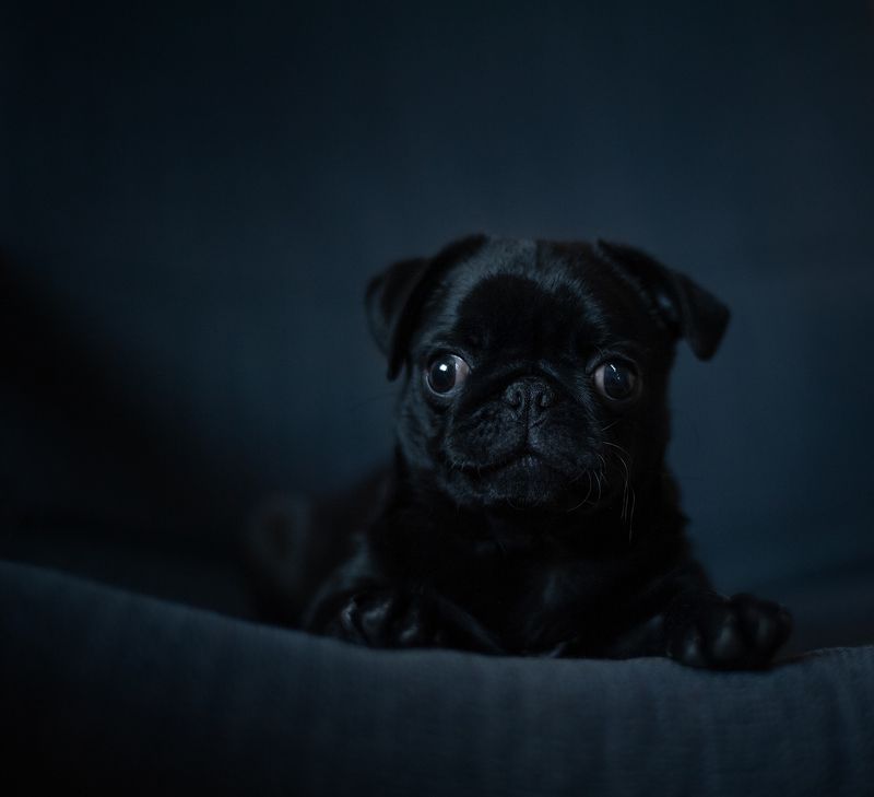 ... фото превью