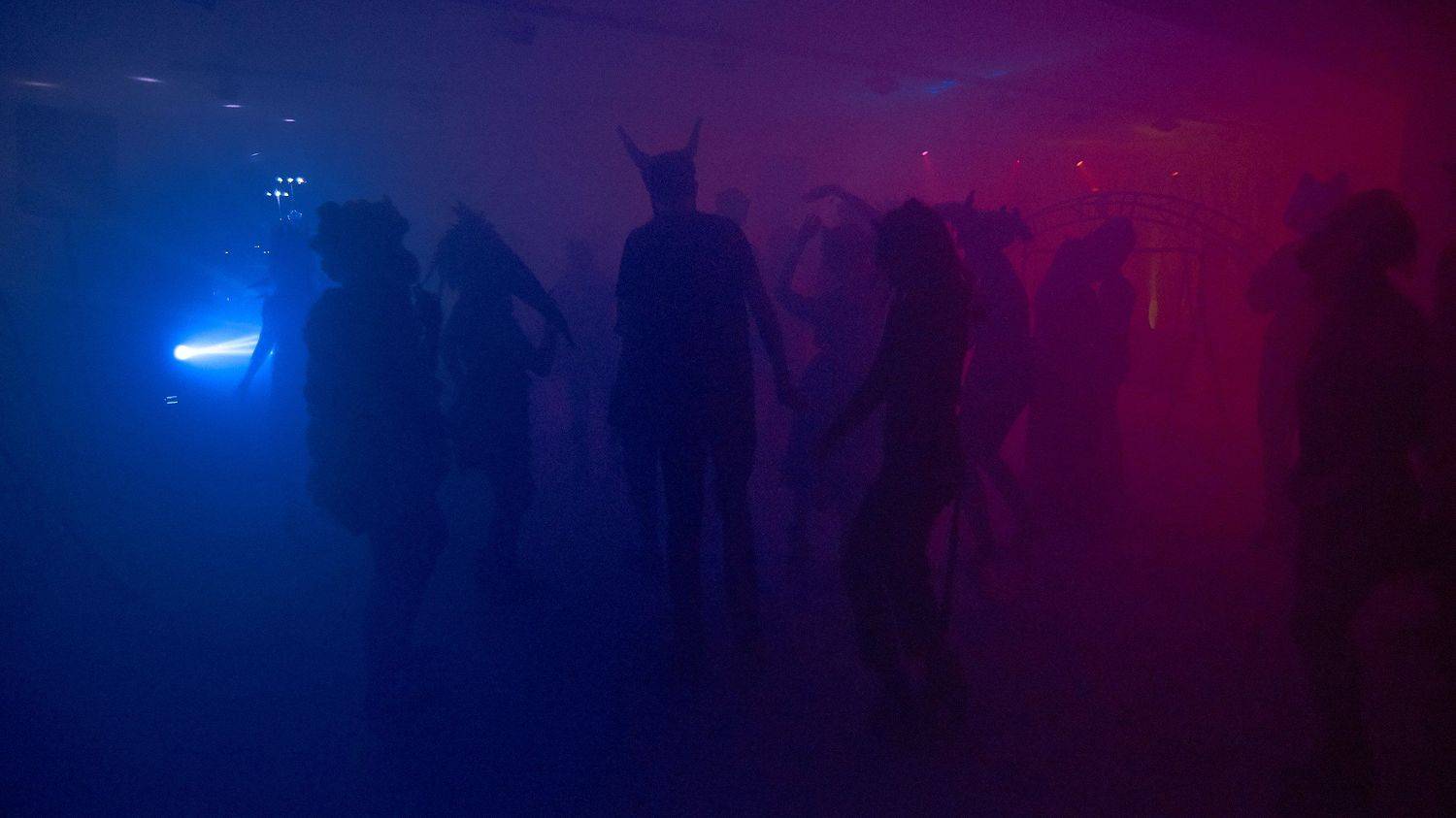 вечеринка, животные, костюмы, маскарад, цвет,, Данил Тетёркин