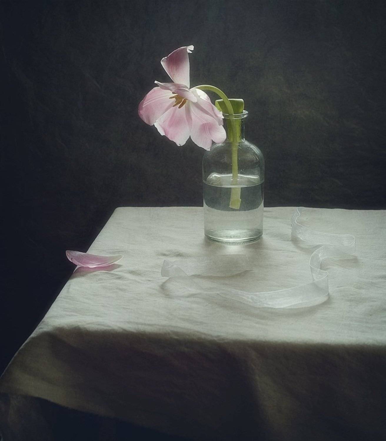 натюрморт,тюльпан,весна,цветы, Наталия К