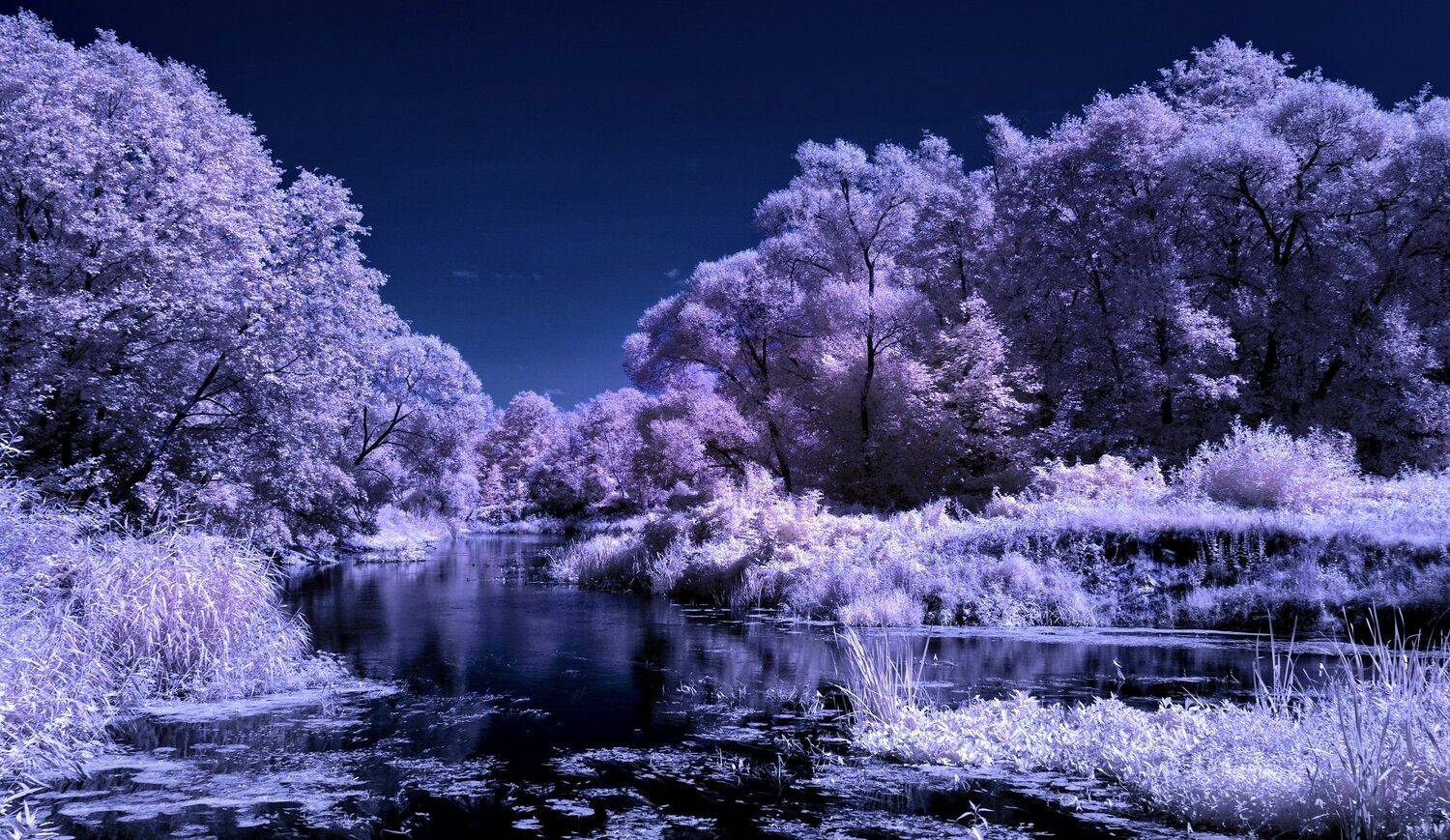 infrared,ик-фото,инфракрасное фото, инфракрасная фотография, пейзаж, лето, беларусь, природа, Sixten ( Сергей )