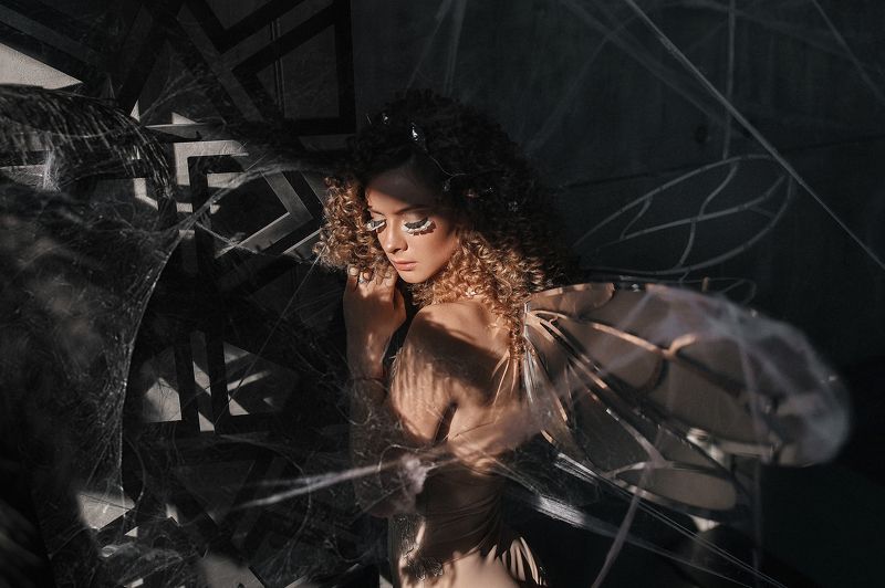 Мотылек фото превью