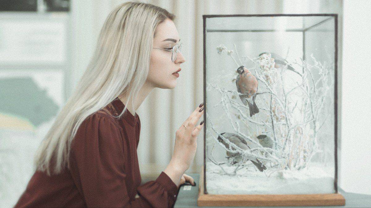 портрет, фото, nikon, portrait, Полтава, Ведь Денис