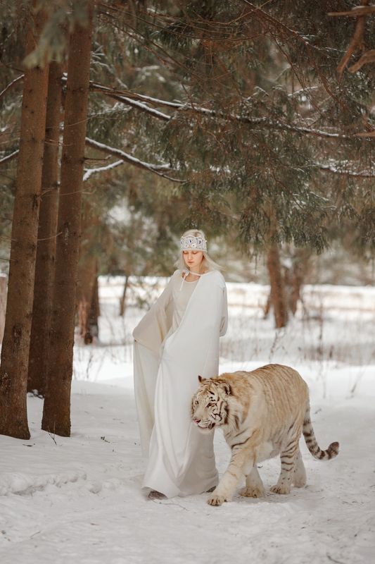 тигр Прогулка фото превью
