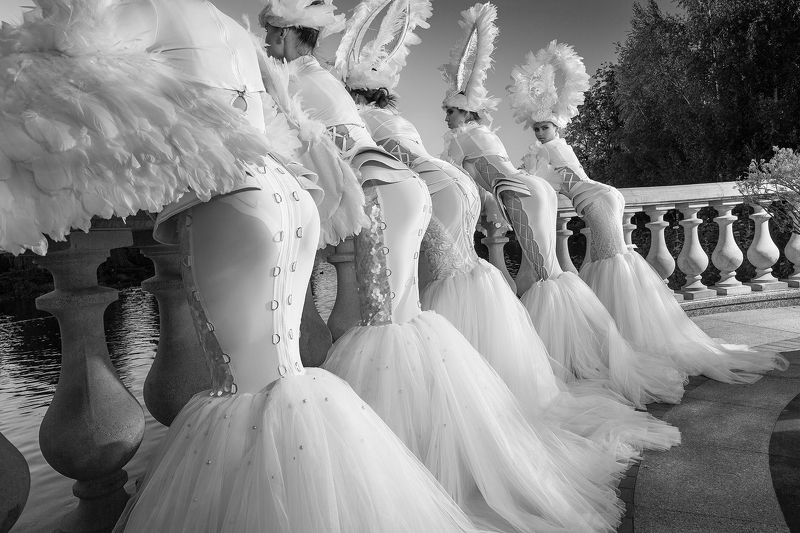 * * * фото превью