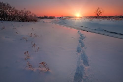 Солнце в спину