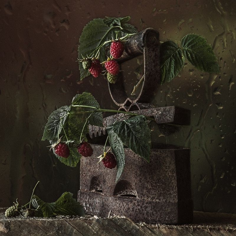 фото превью