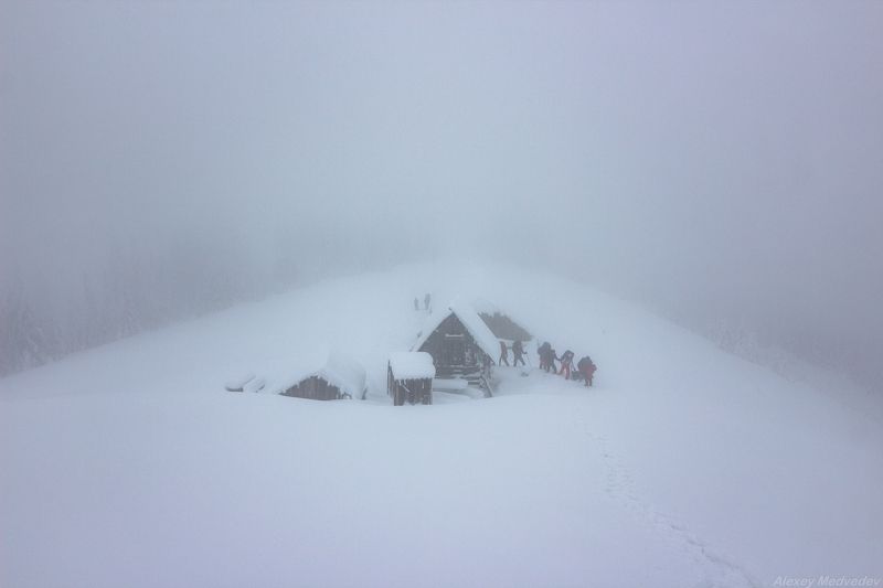 горы, гори, закарпаття, зима, карпати, свидовець, лопухів, лопухов, свидовец, карпаты, закарпатье, Приют туриста фото превью