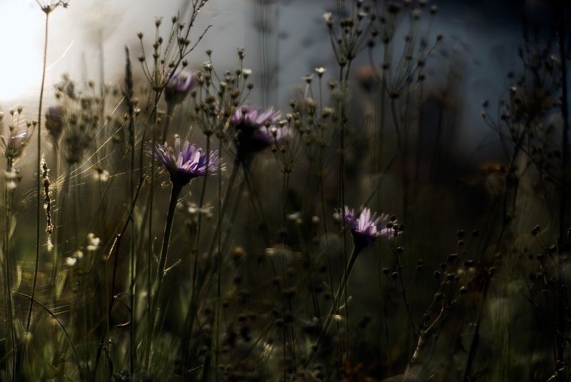 В ожидании... фото превью
