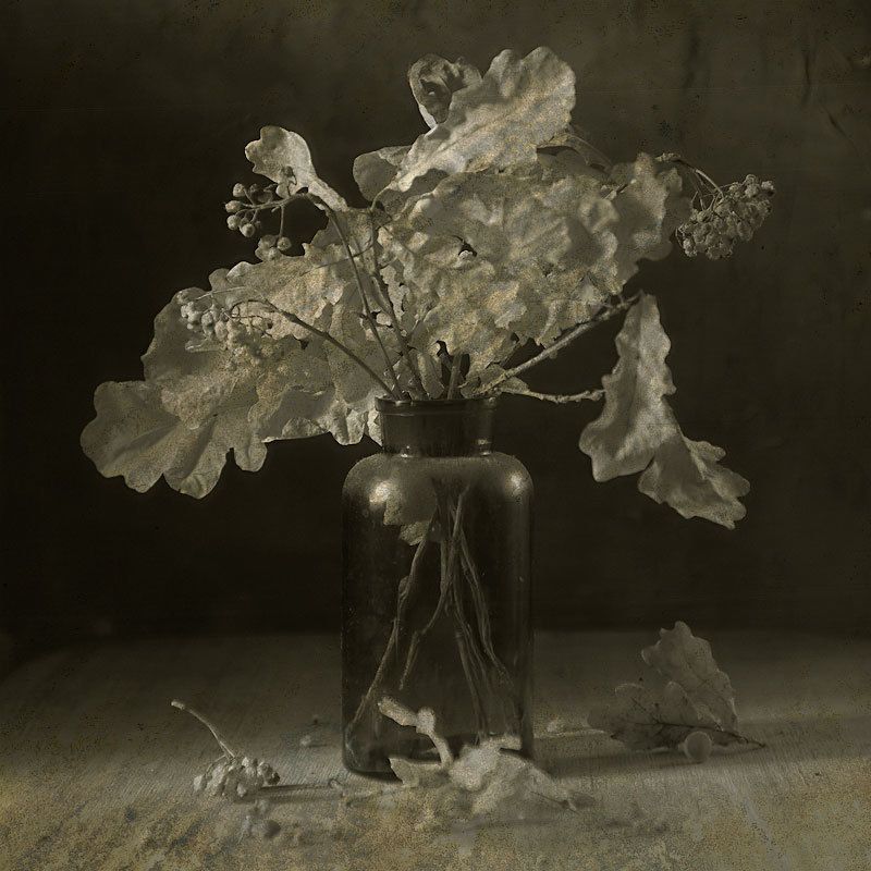 *** фото превью