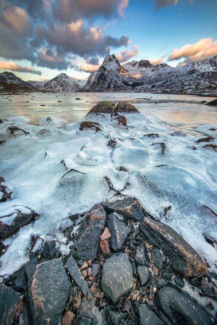 , Тодор Божков