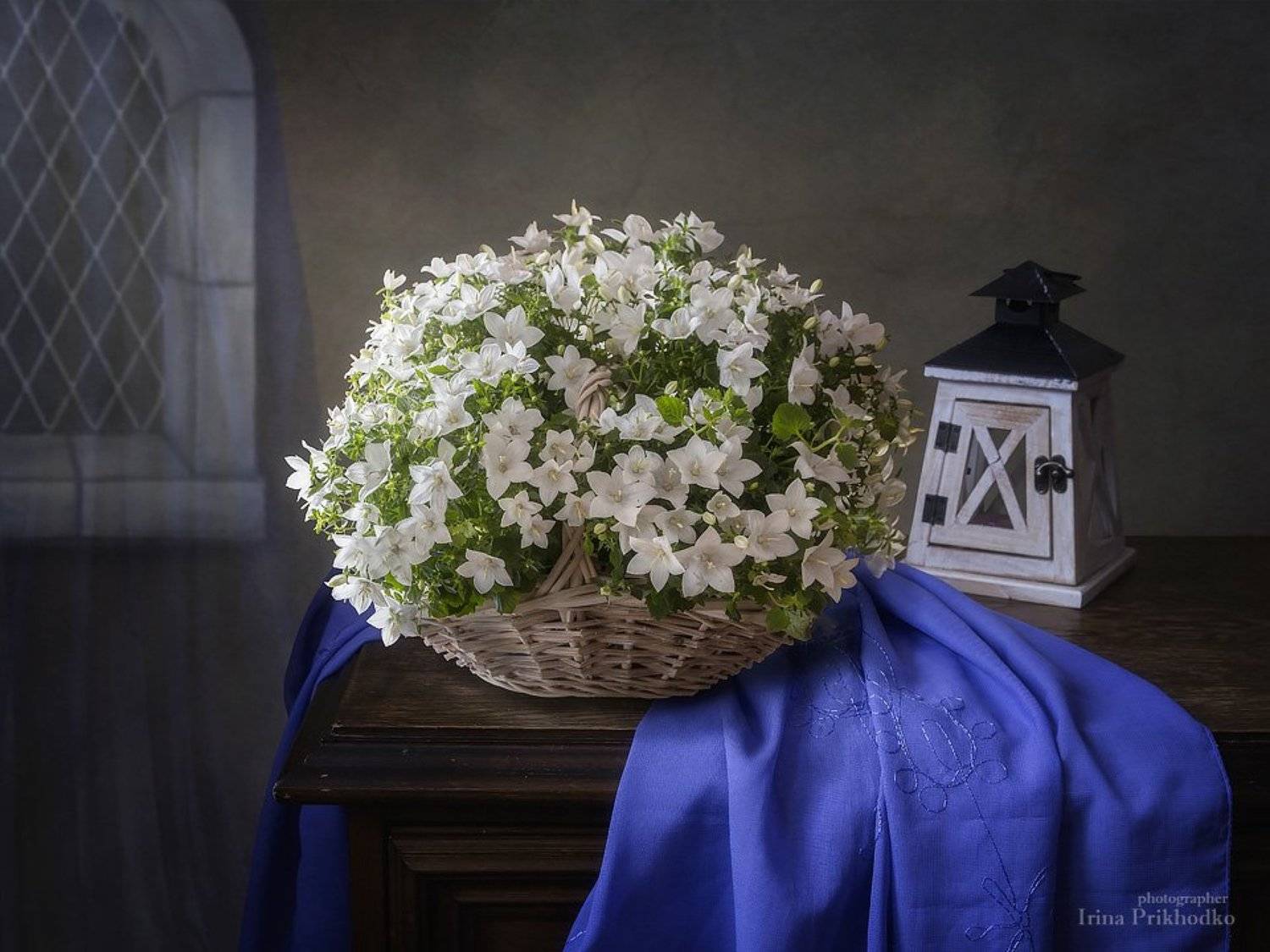 натюрморт, цветочный натюрморт, винтажный натюрморт, интерьер, кампанула, Ирина Приходько