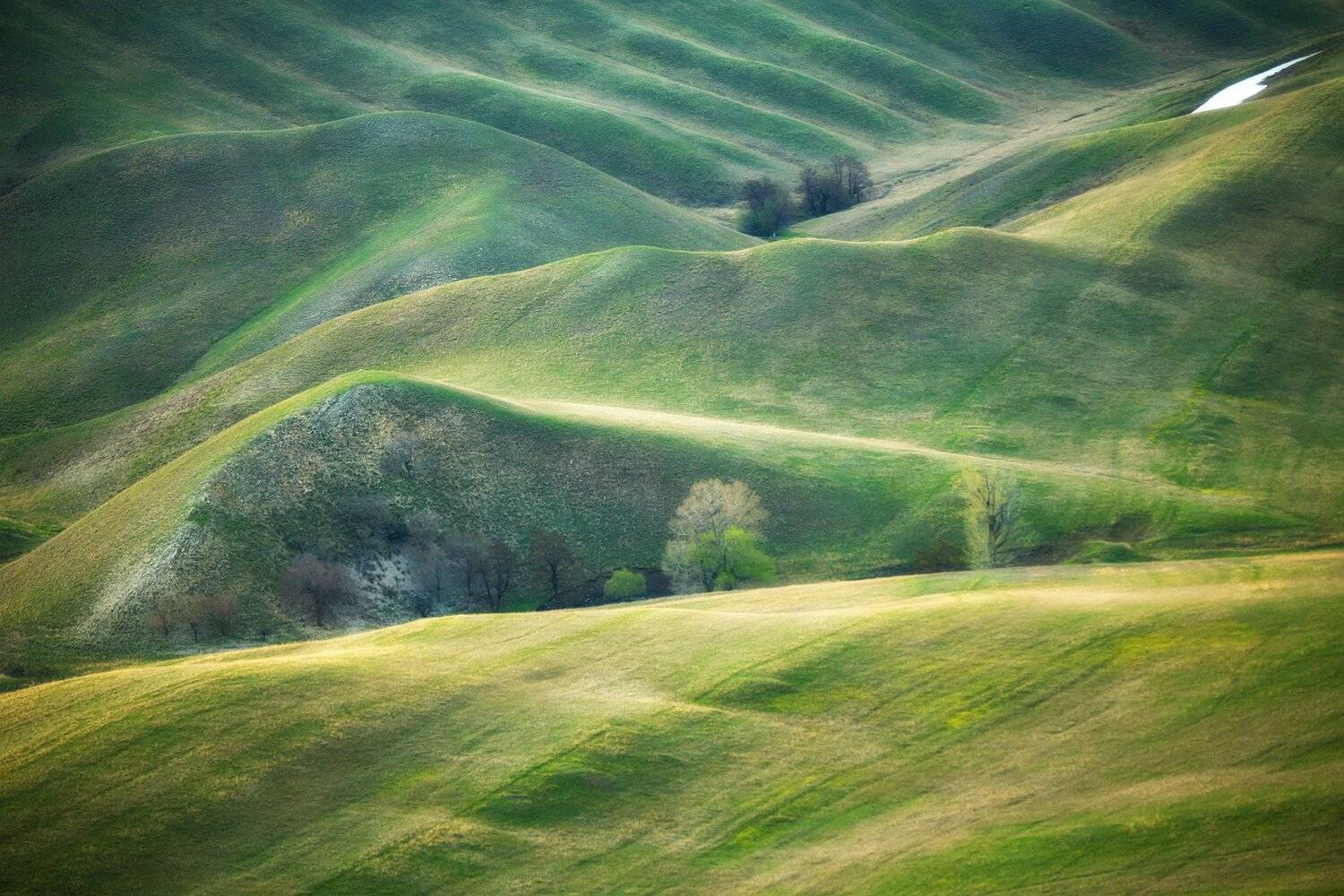 , Павел Сагайдак